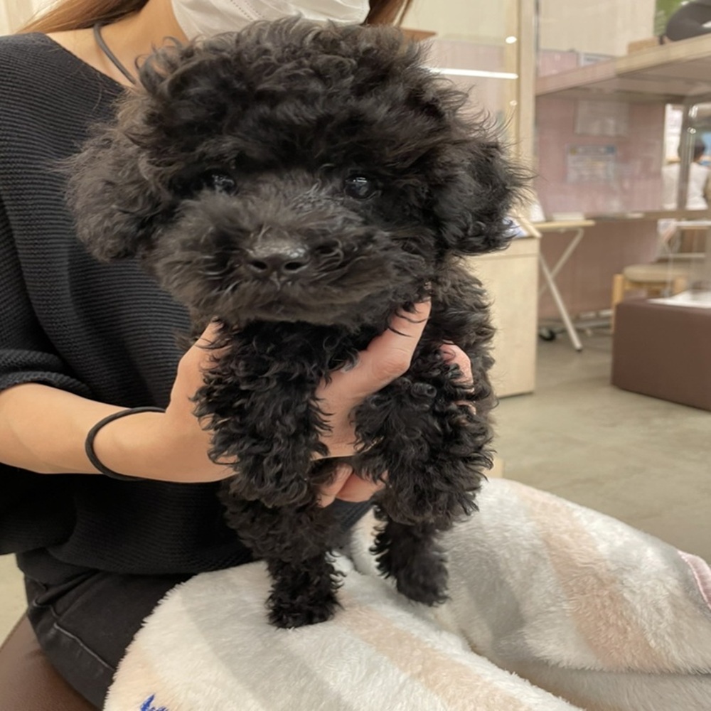 ここあ生後１か月