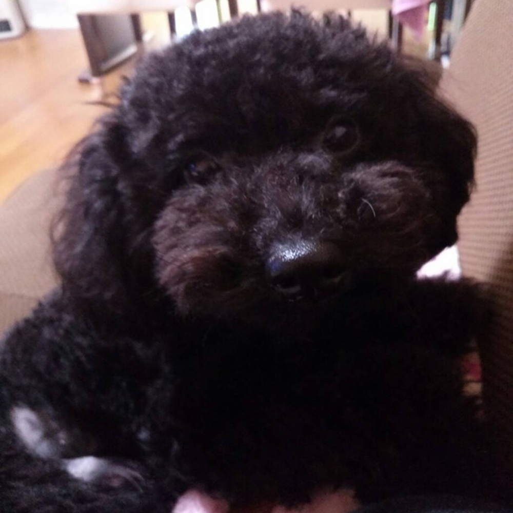 ここあ生後6か月